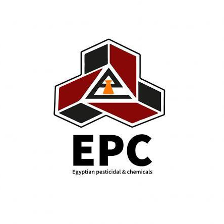 photo ٢٠٢٦ ٠٢ ٢٧ ٠٠ ٢٨ ٢٩