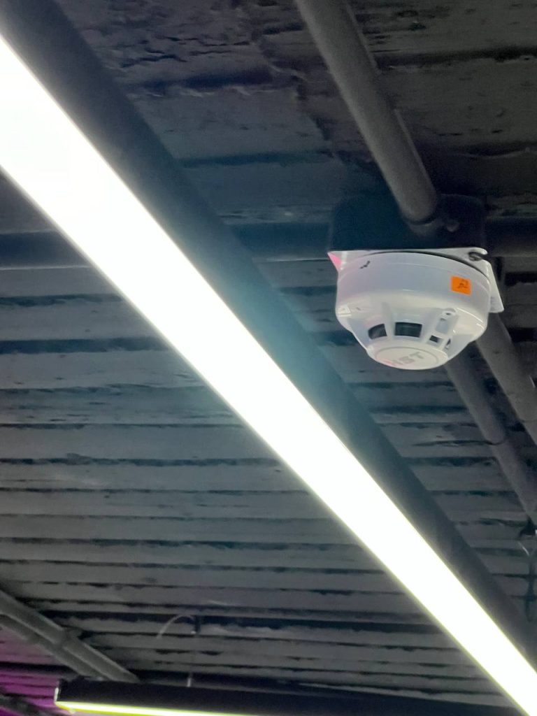 photo 1 2025 11 07 16 01 25