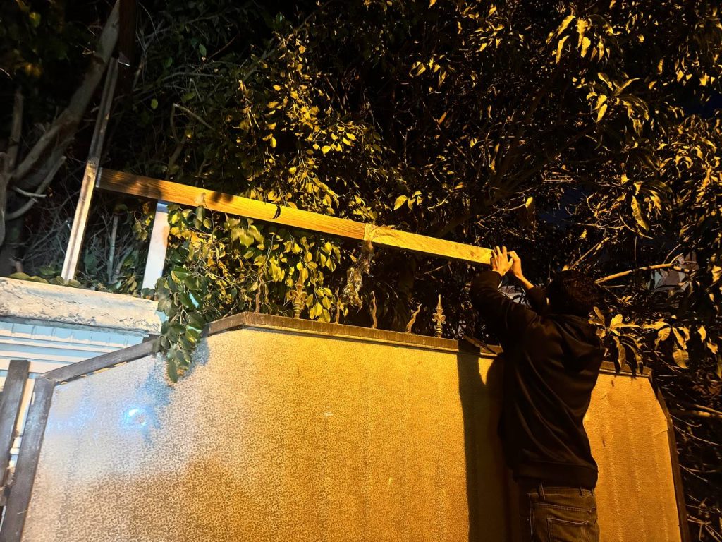 photo 4 2025 11 07 16 18 59