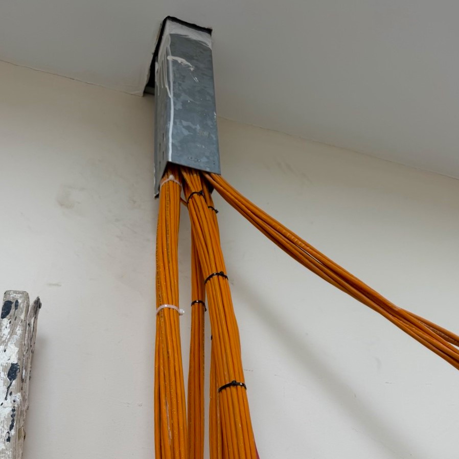 photo 4 2026 03 10 15 48 45